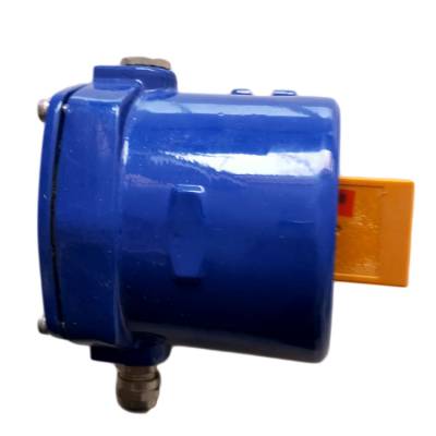 FYDDH-02/失速開磁水平安裝、FYDDH-02輸送機速度打滑開關(guān)價格